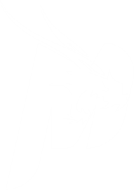 Logo MAESTRO_EVO
